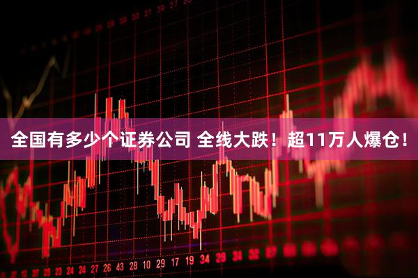 全国有多少个证券公司 全线大跌！超11万人爆仓！